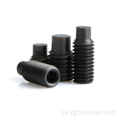 Black Oxide Hex Socket Set -skruvar med Dog Point DIN915